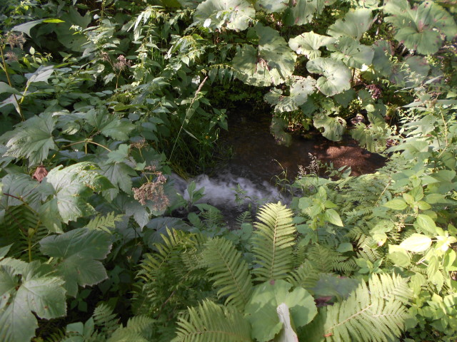 img0105.jpg