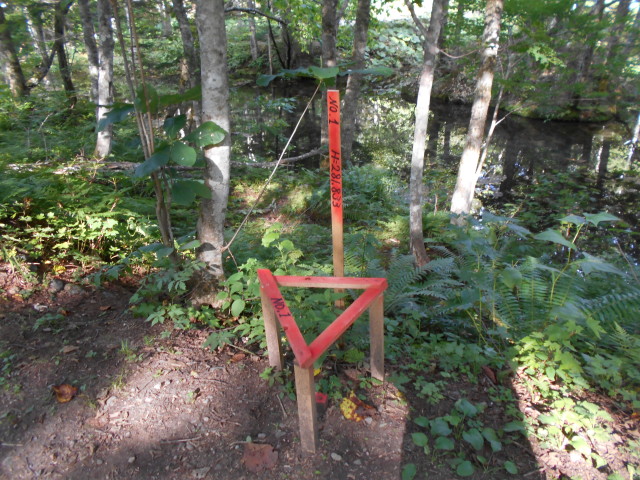 img0124.jpg