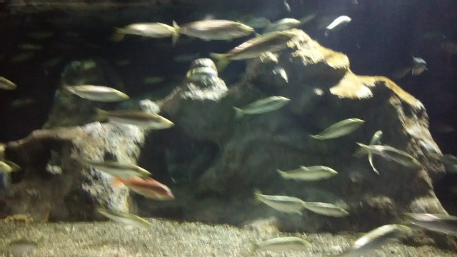 img0212.jpg