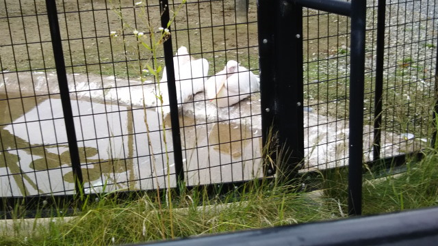 img0330.jpg