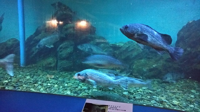 img0460.jpg