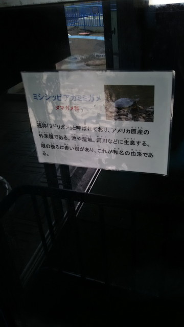 img0474.jpg