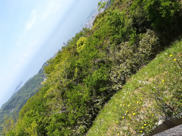 img0008.jpg