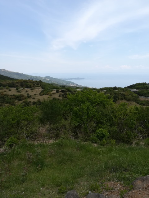 img0024.jpg
