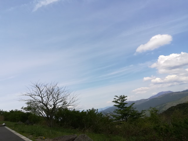 img0027.jpg