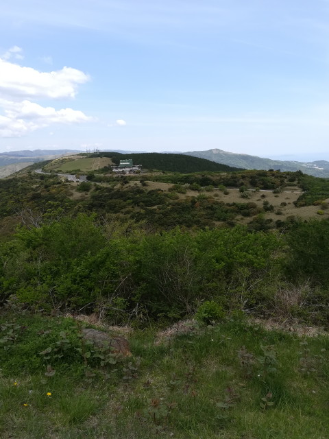 img0028.jpg