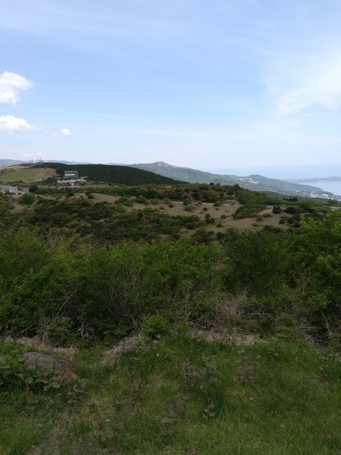 img0029.jpg