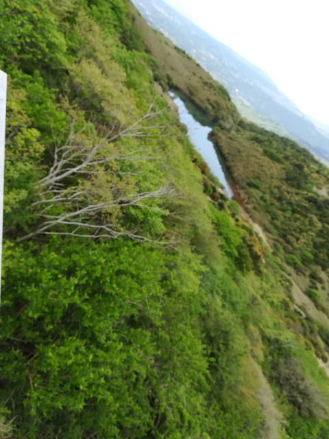 img0031.jpg
