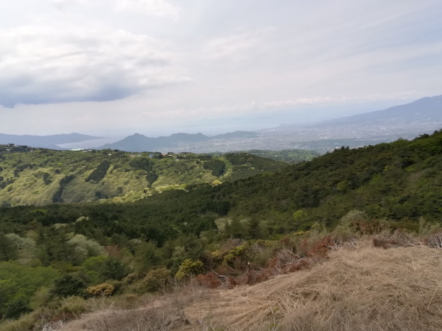 img0039.jpg