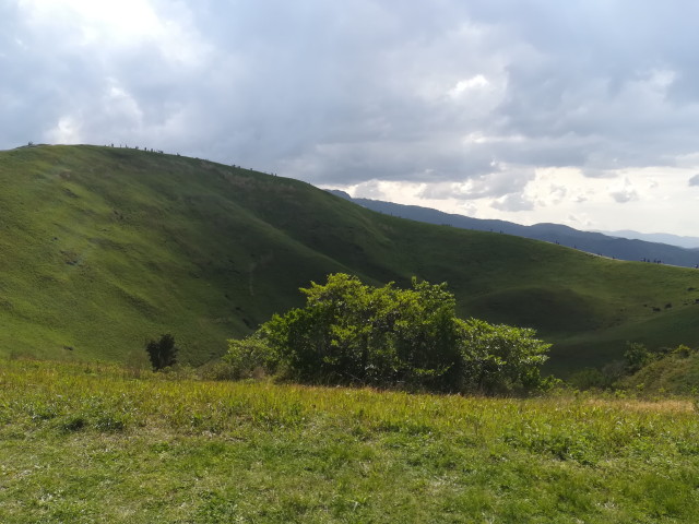 img0097.jpg