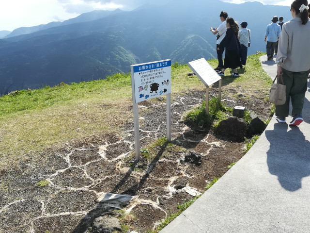 img0119.jpg