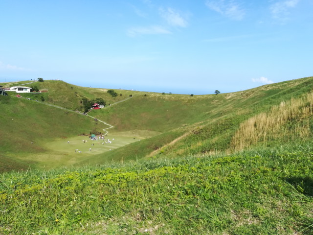 img0186.jpg