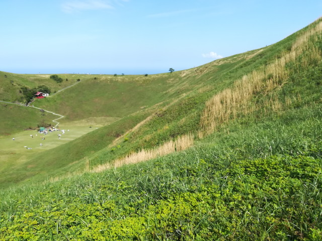 img0190.jpg