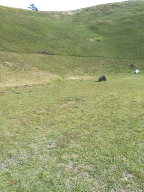 img0229.jpg