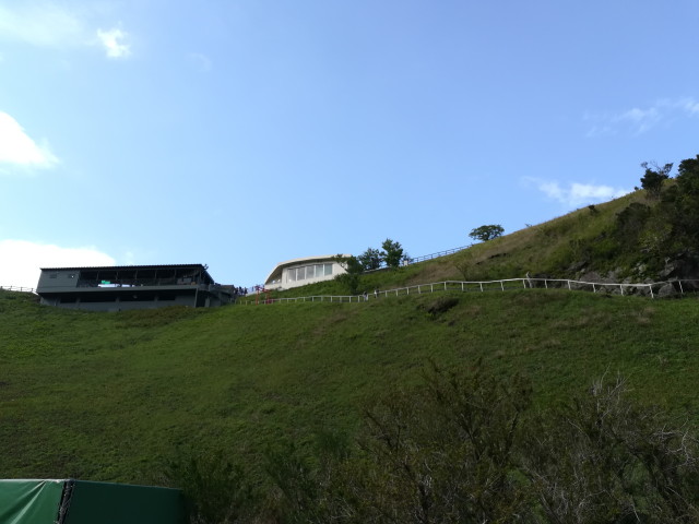 img0236.jpg