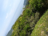 img0007.jpg