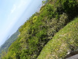 img0008.jpg