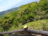 img0009.jpg