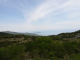 img0015.jpg