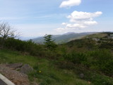 img0019.jpg