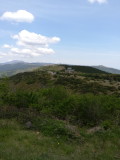 img0023.jpg