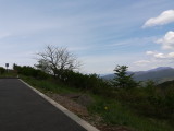 img0026.jpg
