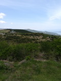 img0029.jpg