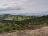 img0037.jpg
