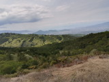 img0038.jpg