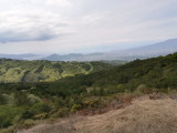 img0039.jpg