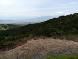 img0041.jpg