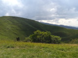 img0097.jpg