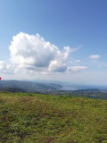 img0156.jpg