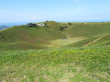 img0184.jpg