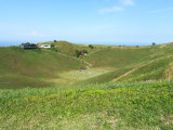 img0185.jpg