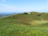 img0188.jpg