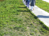 img0189.jpg