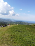img0196.jpg
