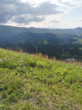 img0214.jpg