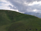 img0221.jpg