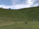 img0230.jpg