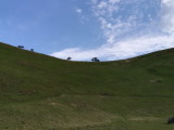 img0231.jpg