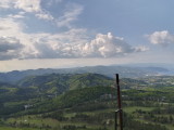 img0239.jpg